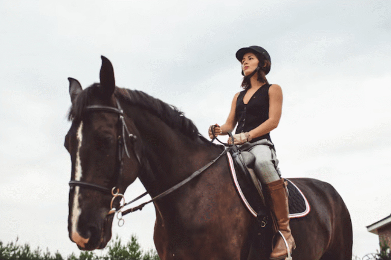 The Psychology of Jockeys: Staying Focused During Races