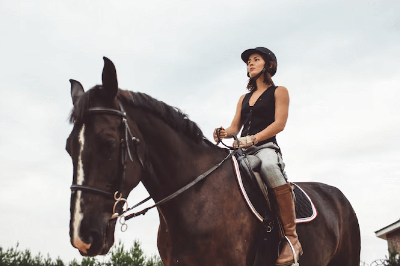 The Psychology of Jockeys: Staying Focused During Races