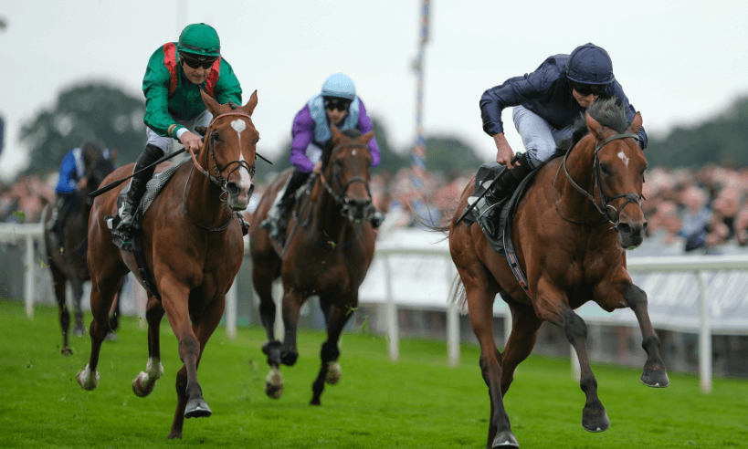 The Rise of International Horse Racing