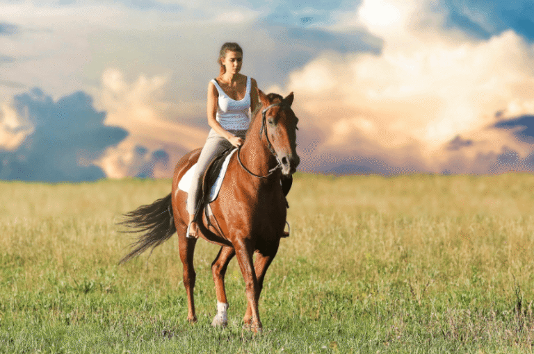 The Rise of Women in Horse Racing