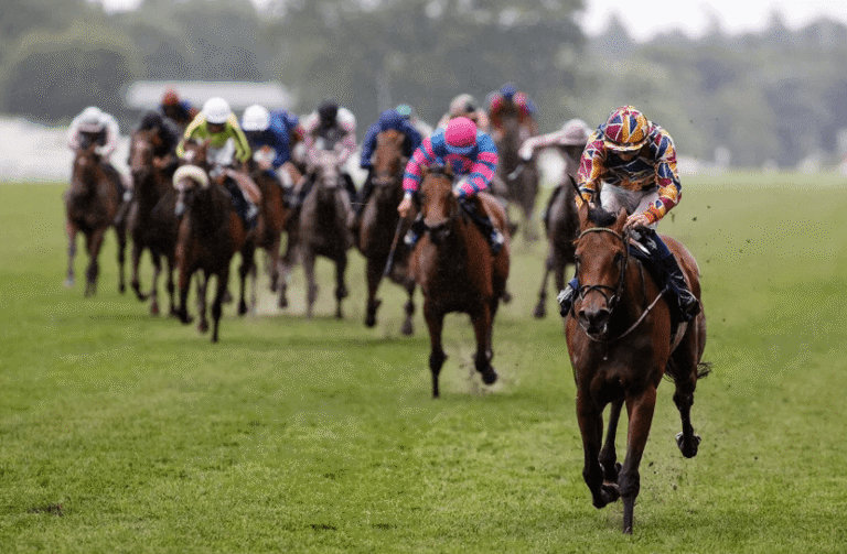 The Role of Horse Racing in Global Sports Culture