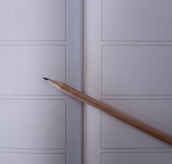 differences between light novel and manga