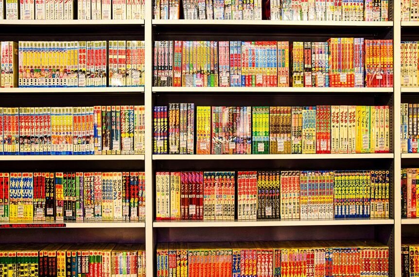 light novel versus manga differences