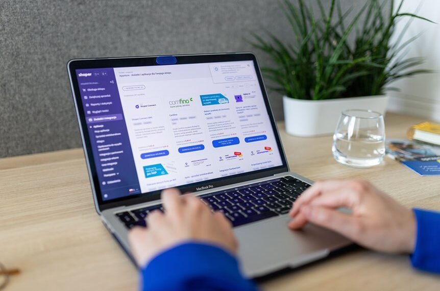 shopify wisestudyspot domain name