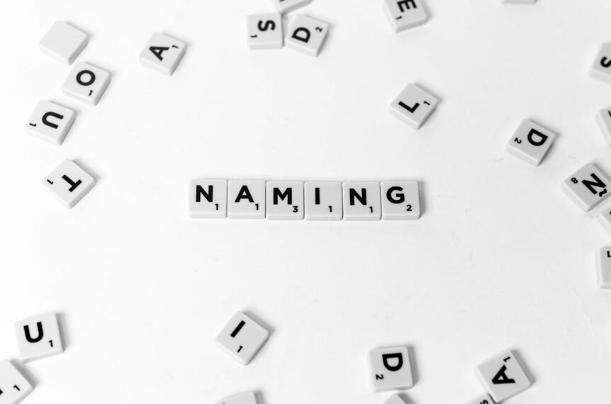 unclear input text meaning