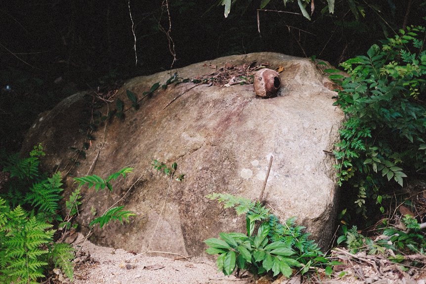 where zahyillproztulas found in